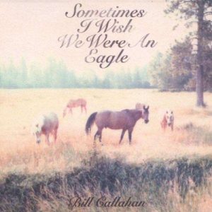 Bill callahan - Portada de disco: Sometimes I wish I were an eagle
